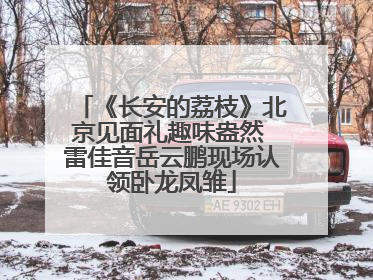 《长安的荔枝》北京见面礼趣味盎然 雷佳音岳云鹏现场认领卧龙凤雏