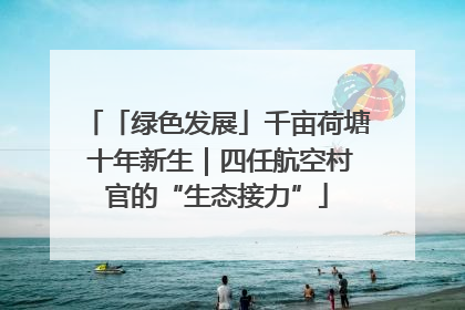 「绿色发展」千亩荷塘 十年新生｜四任航空村官的“生态接力”