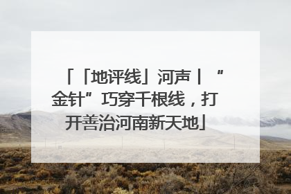 「地评线」河声丨“金针”巧穿千根线，打开善治河南新天地