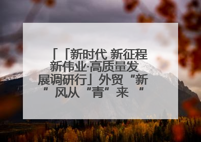 「新时代 新征程 新伟业·高质量发展调研行」外贸“新”风从“青”来 “双向奔赴”启新程