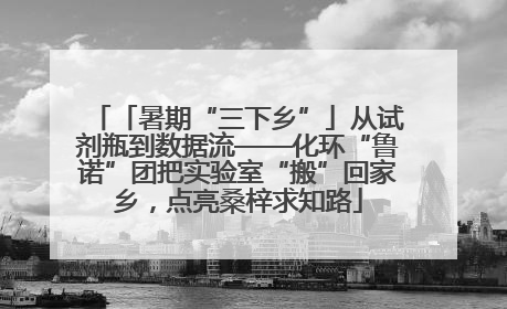 「暑期“三下乡”」从试剂瓶到数据流——化环“鲁诺”团把实验室“搬”回家乡，点亮桑梓求知路