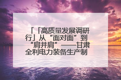 「高质量发展调研行」从“面对面”到“肩并肩”——甘肃全利电力装备生产制造项目一线见闻