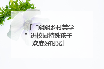 “熙熙乡村美学”进校园特殊孩子欢度好时光