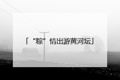“粽”情出游黄河坛