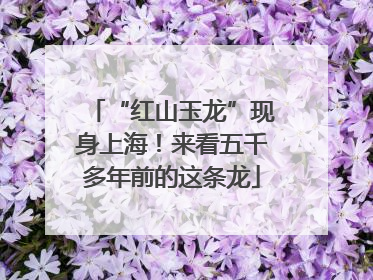“红山玉龙”现身上海！来看五千多年前的这条龙