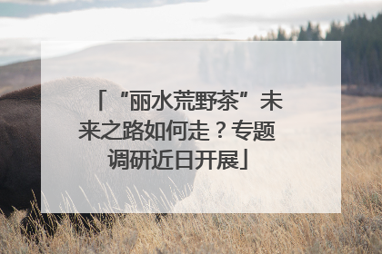 “丽水荒野茶”未来之路如何走？专题调研近日开展