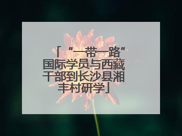 “一带一路”国际学员与西藏干部到长沙县湘丰村研学