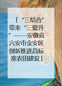 “三结合”带来“三提升”——安徽省六安市金安区创新推进高标准农田建设