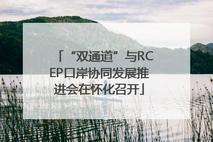“双通道”与RCEP口岸协同发展推进会在怀化召开