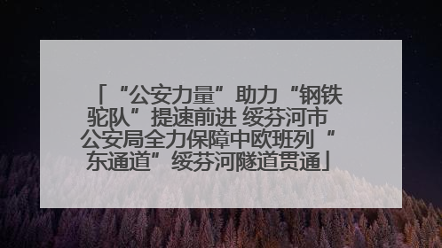 “公安力量”助力“钢铁驼队”提速前进 绥芬河市公安局全力保障中欧班列“东通道”绥芬河隧道贯通