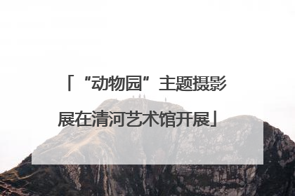 “动物园”主题摄影展在清河艺术馆开展