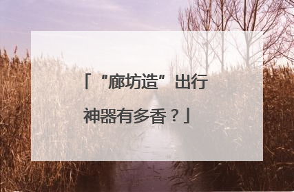 “廊坊造”出行神器有多香？