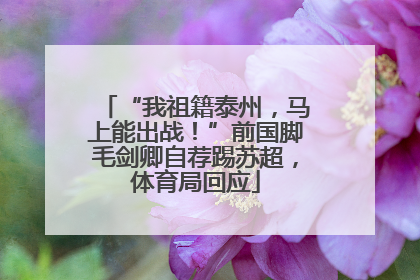 “我祖籍泰州，马上能出战！”前国脚毛剑卿自荐踢苏超，体育局回应