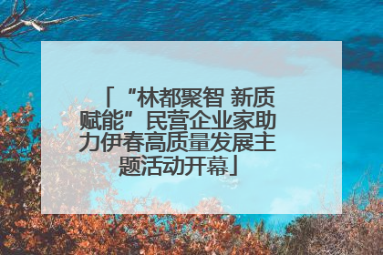“林都聚智 新质赋能”民营企业家助力伊春高质量发展主题活动开幕