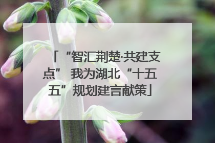 “智汇荆楚·共建支点” 我为湖北“十五五”规划建言献策