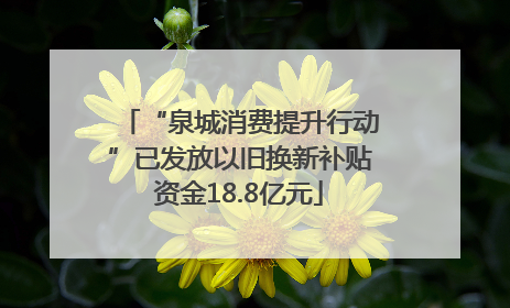 “泉城消费提升行动”已发放以旧换新补贴资金18.8亿元