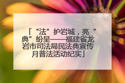 “法”护岩城，亮“典”纷呈——福建省龙岩市司法局民法典宣传月普法活动纪实