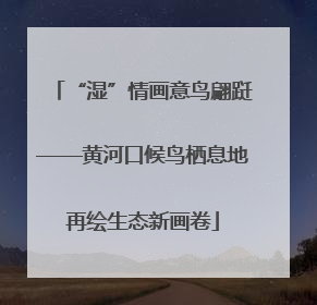 “湿”情画意鸟翩跹——黄河口候鸟栖息地再绘生态新画卷