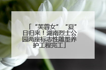“芙蓉女”“夏”日归来！湖南烈士公园两座标志性雕塑养护工程完工