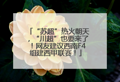 “苏超”热火朝天，“川超”也要来了！网友建议西南F4组建西甲联赛！