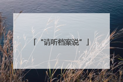 “请听档案说”