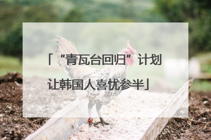 “青瓦台回归”计划让韩国人喜忧参半