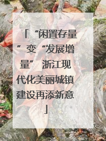 “闲置存量”变“发展增量” 浙江现代化美丽城镇建设再添新意
