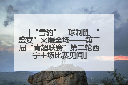 “雪豹”一球制胜 “盛宴”火爆全场——第二届“青超联赛”第二轮西宁主场比赛见闻