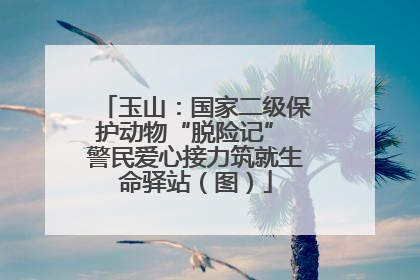 玉山：国家二级保护动物“脱险记” 警民爱心接力筑就生命驿站（图）