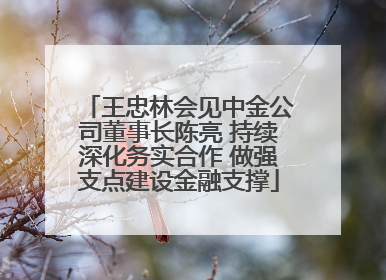 王忠林会见中金公司董事长陈亮 持续深化务实合作 做强支点建设金融支撑