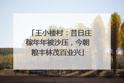 王小楼村：昔日庄稼年年被沙压，今朝粮丰林茂百业兴