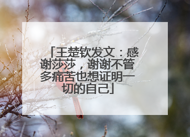 王楚钦发文：感谢莎莎，谢谢不管多痛苦也想证明一切的自己