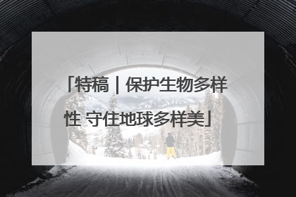 特稿｜保护生物多样性 守住地球多样美