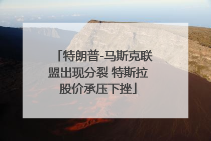 特朗普-马斯克联盟出现分裂 特斯拉股价承压下挫