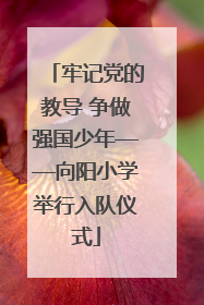 牢记党的教导 争做强国少年——向阳小学举行入队仪式