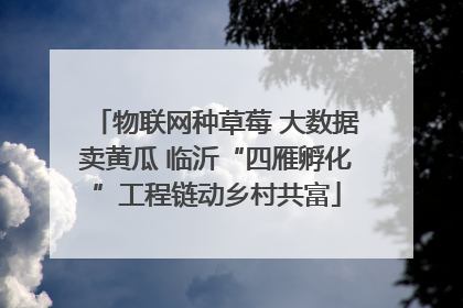 物联网种草莓 大数据卖黄瓜 临沂“四雁孵化”工程链动乡村共富