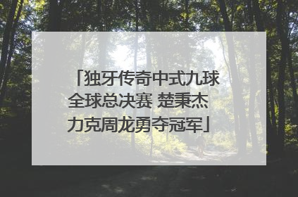 独牙传奇中式九球全球总决赛 楚秉杰力克周龙勇夺冠军