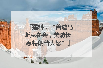 猛料：“曾邀马斯克参会，美防长惹特朗普大怒”