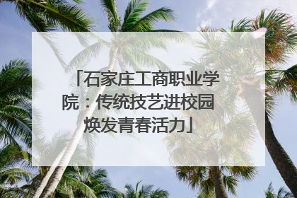 石家庄工商职业学院：传统技艺进校园焕发青春活力