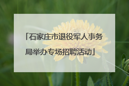 石家庄市退役军人事务局举办专场招聘活动