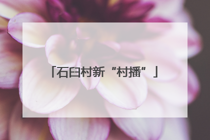石臼村新“村播”