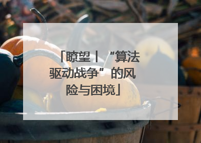 瞭望丨“算法驱动战争”的风险与困境