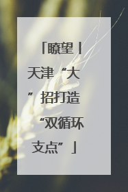 瞭望丨天津“大”招打造“双循环支点”