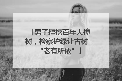 男子擅挖百年大樟树，检察护绿让古树“老有所依”