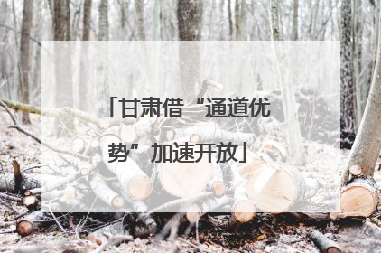 甘肃借“通道优势”加速开放