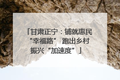 甘肃正宁：铺就惠民“幸福路” 跑出乡村振兴“加速度”