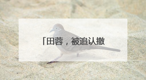 田蓉，被追认撤销省政协委员资格（附简历）