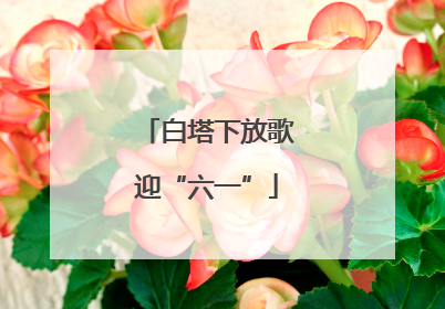 白塔下放歌迎“六一”