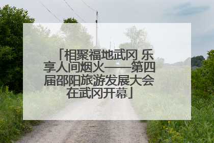 相聚福地武冈 乐享人间烟火——第四届邵阳旅游发展大会在武冈开幕