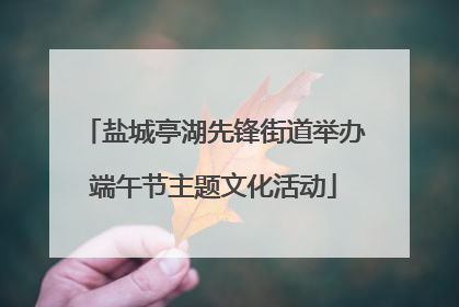 盐城亭湖先锋街道举办端午节主题文化活动